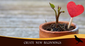 Create New Beginnings
