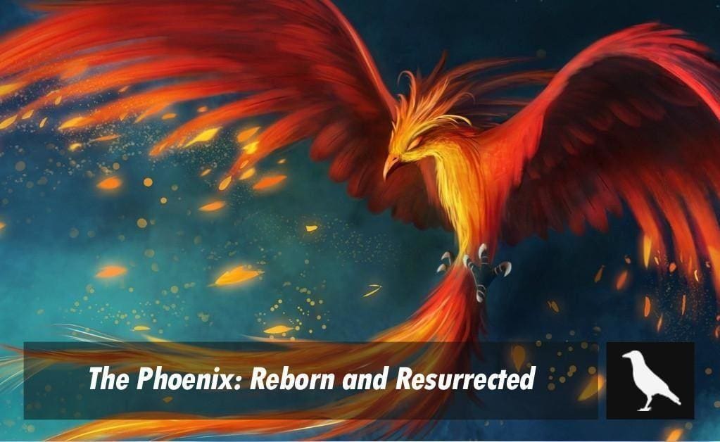 The Phoenix: Reborn and Resurrected