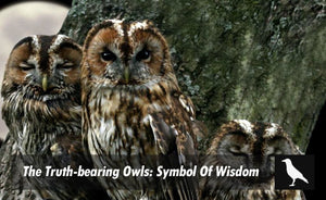 The Truth Bearing Owls
