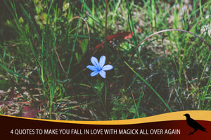 4 Quotes To Make You Fall In Love With Magick All Over Again