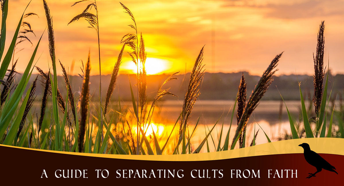 A Guide to Separating Cults from Faith