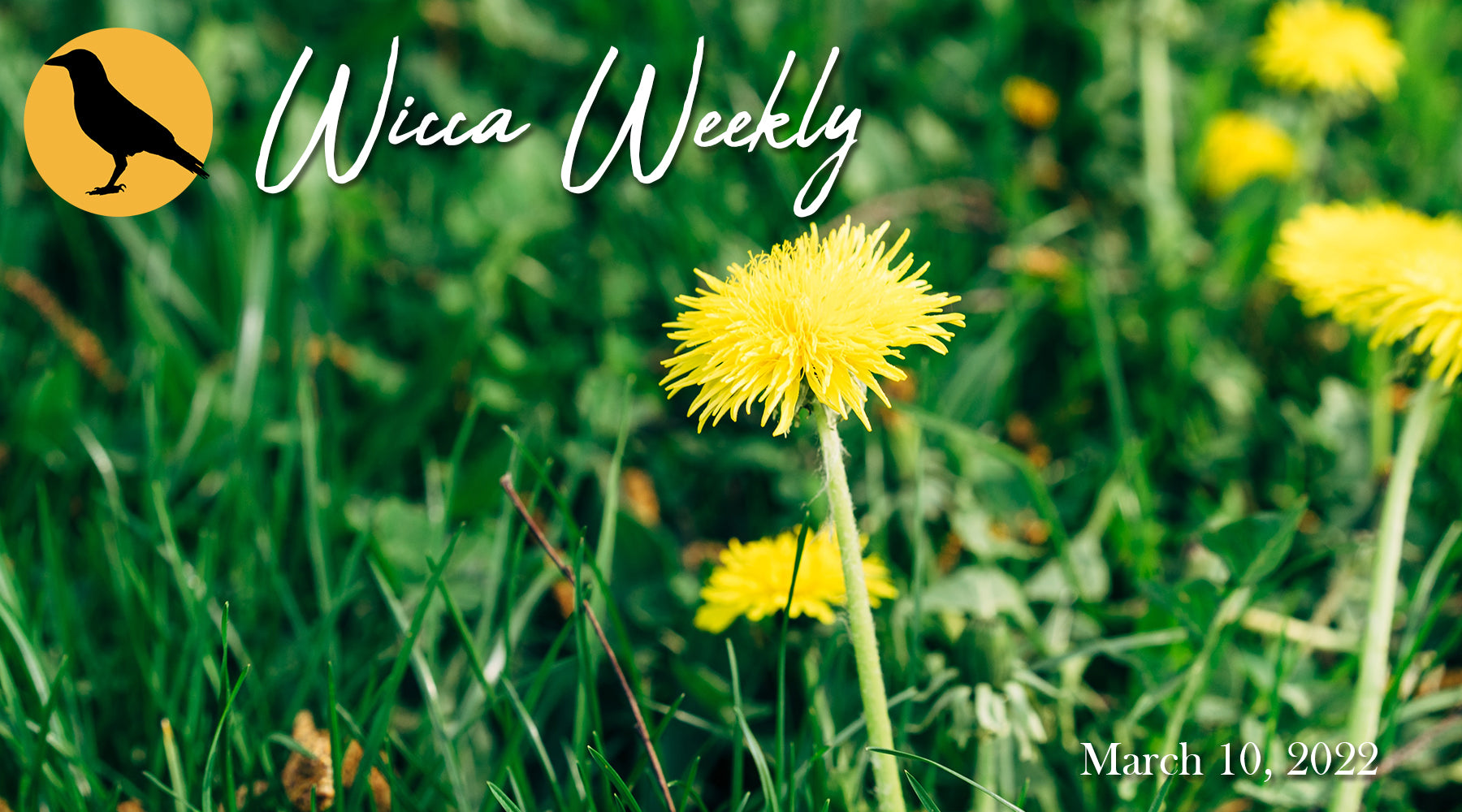 Wicca Weekly: March 17, 2022