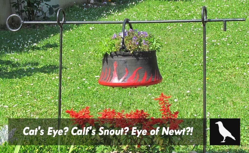 Cat's Eye? Calf's Snout? Eye of Newt?!
