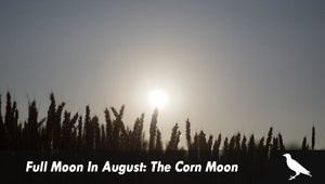 Full Moon In August: The Corn Moon
