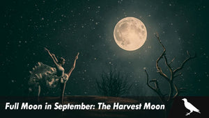 Full Moon in September: The Harvest Moon