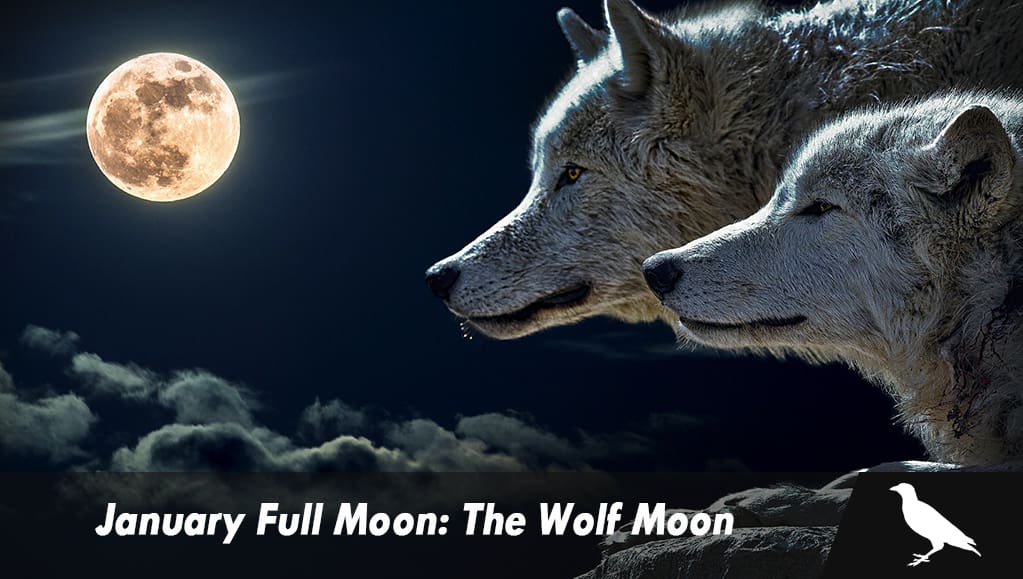 How to Watch January Full Wolf Moon