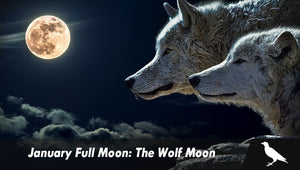 January Full Moon: The Wolf Moon