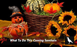 What To Do This Coming Samhain