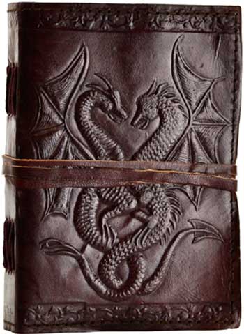 Double Dragon Book of Shadows