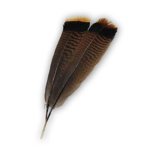 Genuine Turkey Feather Quill For Writing And Smudging - The Moonlight Shop