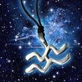 Moonlight Zodiac Necklace