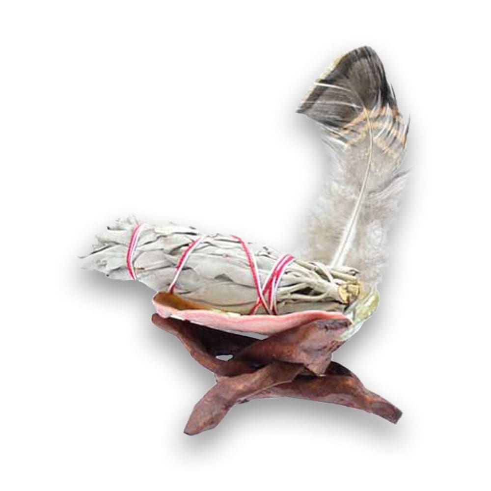 Smudging Kit: White Sage and Abalone Shell on Cobra Stand