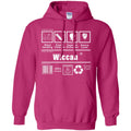 Wiccan Instructions Hoodie